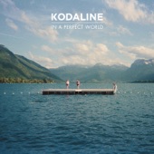 In a Perfect World (Deluxe) artwork