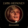 Tapio Heinonen - Kesäaamu Helsingissä
