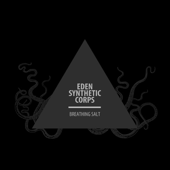 Cover artwork for Commander Cruel