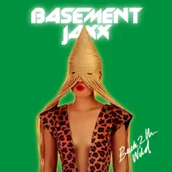 Back 2 the Wild (Remixes) - Basement Jaxx