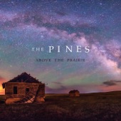 The Pines - Aerial Ocean