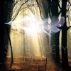 State Society - Dance