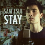 Sam Tsui - Stay