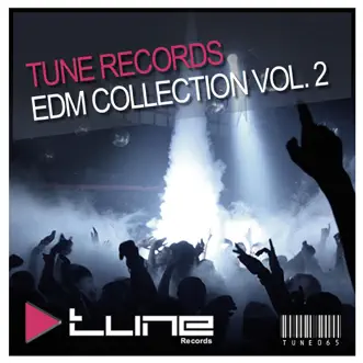 Tune Records EDM Collection Vol 2 by Various Artists album reviews, ratings, credits