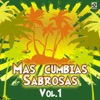 Mas Cumbias Sabrosas, Vol. 1