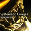 Systematic Congas