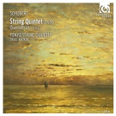 String Quartet in C minor, D.703: II. Andante (fragment) artwork