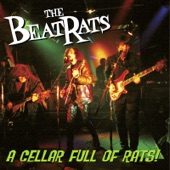 The Beat Rats - Don't Bother Me Baby
