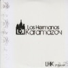 Los Hermanos Karamazov (2ª Edición)