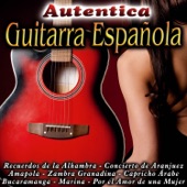 Auténtica Guitarra Española artwork