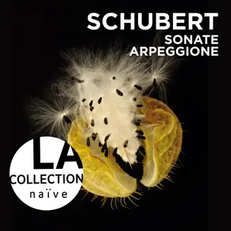 Schubert: Sonate Arpeggione by Anne Gastinel & Claire Désert album reviews, ratings, credits