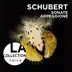 Schubert: Sonate Arpeggione album cover