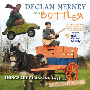 Declan Nerney & Bottler - Things Are Changing Fast - Line Dance Musique