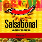 Salsational, Vol. 3 - Latin Festival artwork