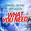 What You Need (feat. Orry Jackson) - Single