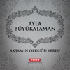 Akşamın Olduğu Yerde - Single