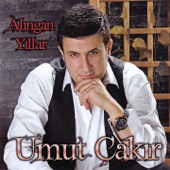 Alıngan Yıllar artwork