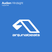 Hindsight - Audien
