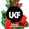 UKF Summer Drum & Bass artwork