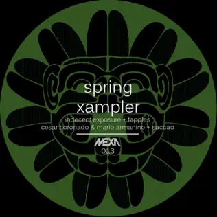 baixar álbum Various - Spring Xampler