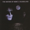 The Sisters of Mercy - This Corrosion