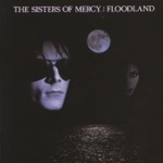 The Sisters of Mercy - Driven Like the Snow