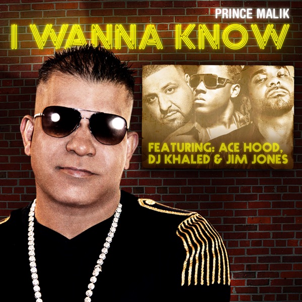 I Wanna Know (Remix) [feat. DJ Khaled, Ace Hood & Jim Jones] - Single - Prince Malik