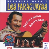 Música Latino Americana: 40 Years On Tour 1945-1995 (Live) artwork