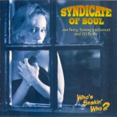 Syndicate Of Soul - Ain’t No Sunshine