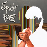 Spider Bags - Coffin Car