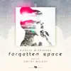 Stream & download Forgotten Space - Single