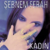 Kadın artwork