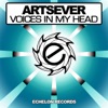 Voices in My Head - Single, 2014