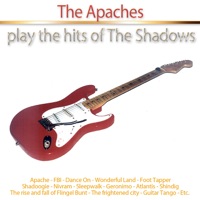 The Shadows Ablum Cover