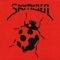 Surrogate - SkyRider lyrics