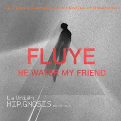 Fluye. Be Water My Friend - Single - La Union
