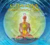 Chakra Meditations and Tones (feat. Beth Quist) album lyrics, reviews, download