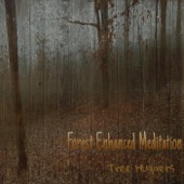 Forest Enhanced Meditation artwork
