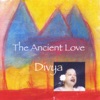 Divya - Beyond Time, Beyond Space