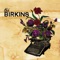 Who Are They - The Birkins lyrics