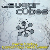 The Sugarcubes - Eat the Menu