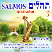 Tehilim Salmos en Español, Vol. 3 artwork