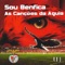 Sou Benfica artwork