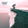 FABRICLIVE 76: Calyx & TeeBee, 2014