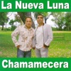 Chamamecera