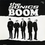 The Sonics - Shot Down