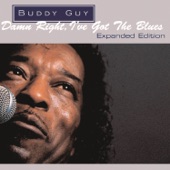 Buddy Guy - Too Broke to Spend the Night