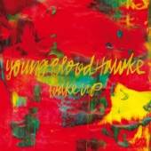 Stars (Hold On) by Youngblood Hawke