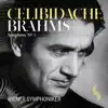 Brahms: Symphony No. 1 album lyrics, reviews, download