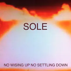 No Wising Up No Settling Down by Sole album reviews, ratings, credits